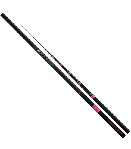 Amazon | サンテック(Suntech) KANAME SPECIAL NP II 70F | サンテック